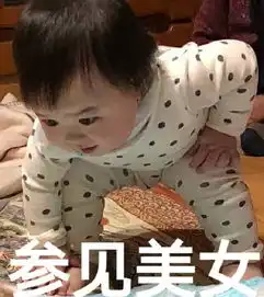 参见老婆大人表情包合集