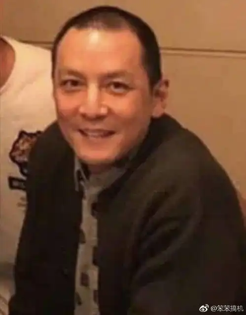 吴彦祖变得有点像神偷奶爸了