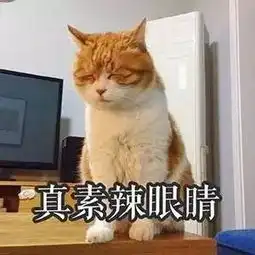 貂蝉为啥喜欢赵戳戳