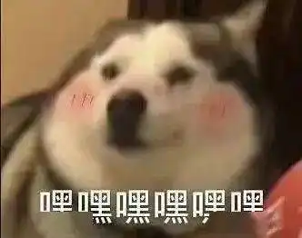腹黑大灰狼x单纯小白兔,这对神仙cp太上头了,一起来磕颜磕糖