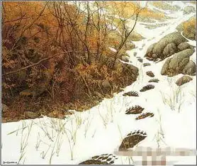 你第一眼看到什么图画就说明你是什么性格,超准