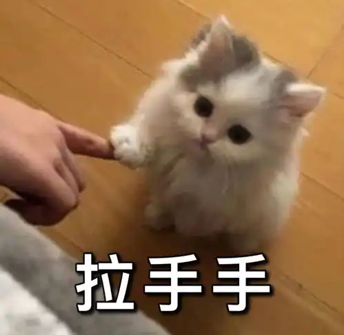 无水印表情包l拉手手