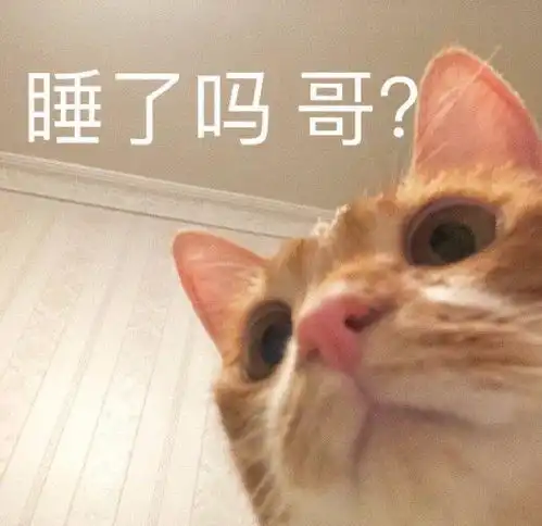搞笑gif趣图大哥,这样赶猪它是不会走的
