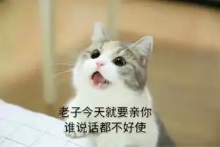怎么样才能天天开心