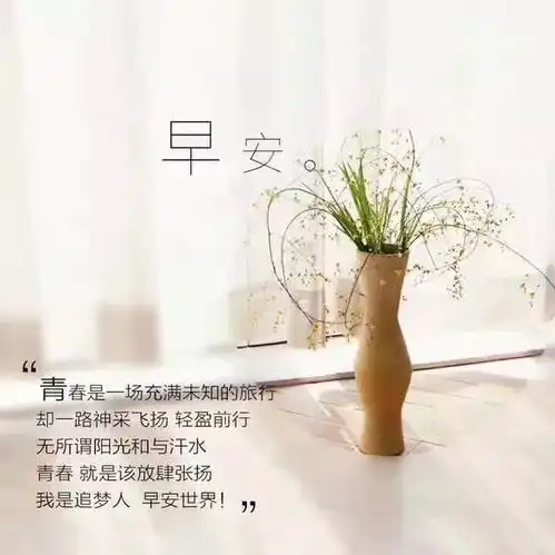 早安问候激励语句子早上好唯美语录励志