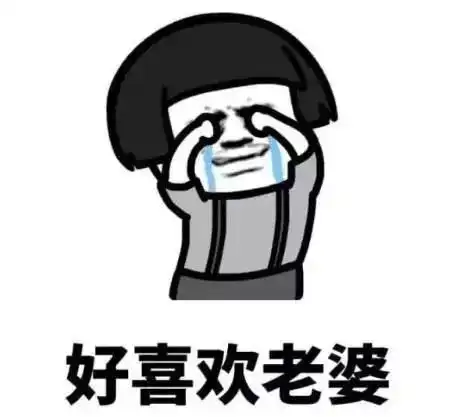 发给老婆的表情包老婆你说什么都是对的