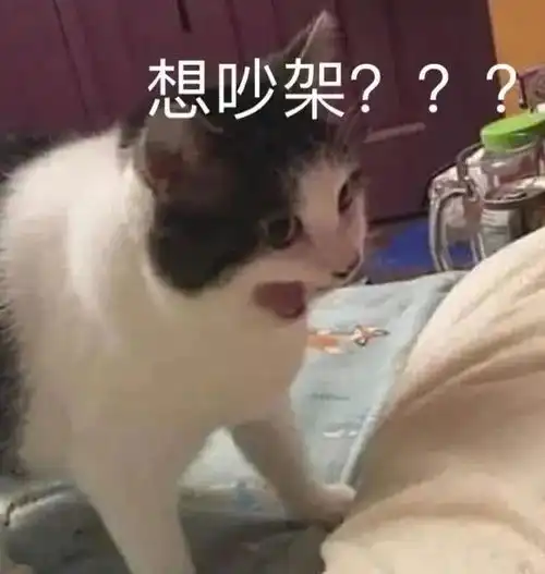 日常表情包i搞笑聊天动图小表情包