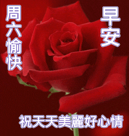 8张不用打字就可以聊天的早上好动态表情图片创意好看的春日清晨早安表情包
