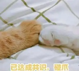 养狗之后,你在家里的地位还好吗