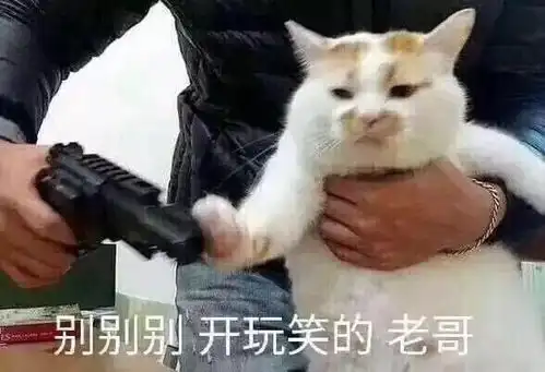 大家对莆田鞋的看法是什么