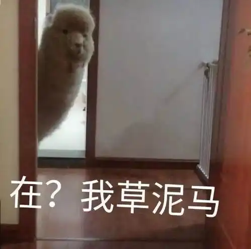 今天的朋友圈,仿佛当年贴吧求种...