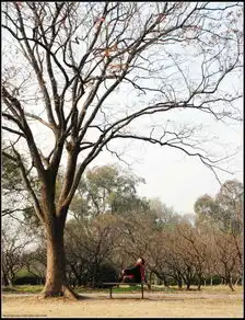 2009年11月的南京栖霞山图片