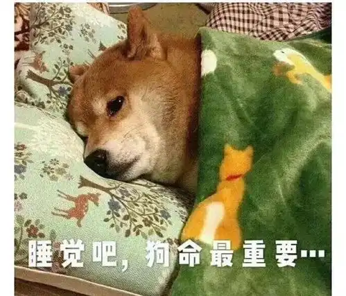 当代年轻人最该收藏的9本书不多说了,能救命