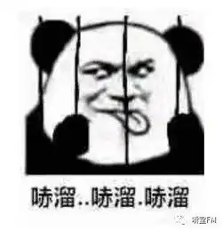 遭起正式立法收拾精日分子