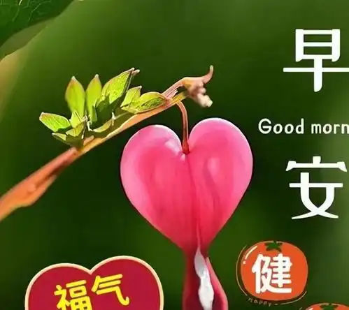 11月18日星期六漂亮早上好问候动态表情图片最新版