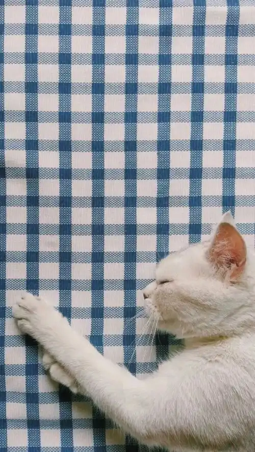 让你不安的玩笑,句句都是我爱你