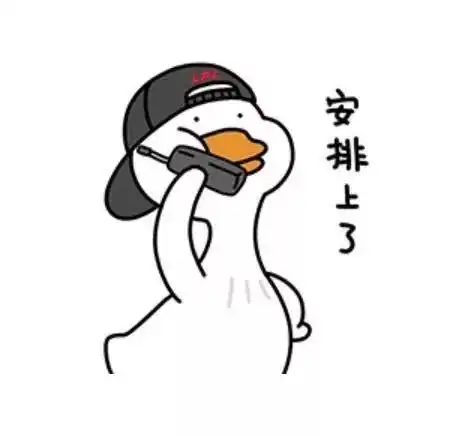 绝了鼠年有384天,2020年还有5个神奇的星期六