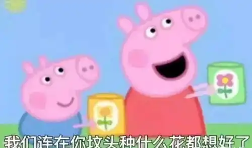 杨天真的出道综艺,你打几分