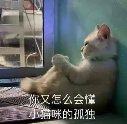 沙雕表情别闹了,对不起,不管怎样你有理腾讯新闻