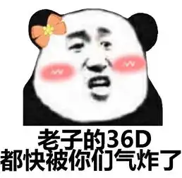 撕逼斗图表情包520期
