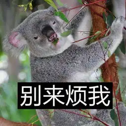 我都说可以做普通朋友了,那个相亲男居然还敢删我