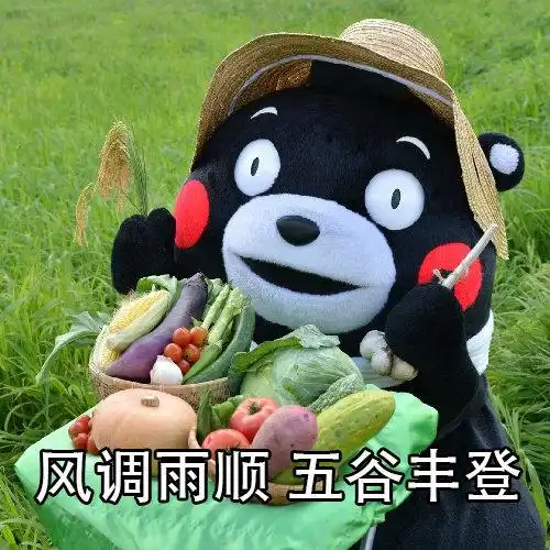 熊本熊表情包我愿用身上20斤肉换取2019整年的财源滚滚
