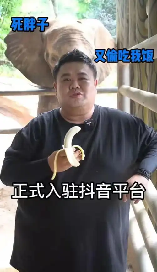 孙越正式入驻抖音,跟相处十年的大象亲密互动,配的文字很可爱