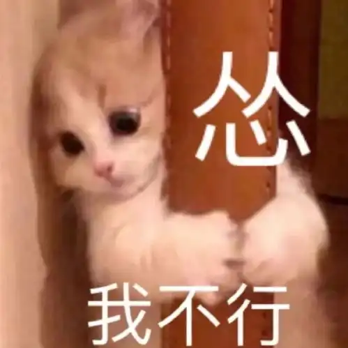 发给对象的可爱表情包,哎,就是玩儿