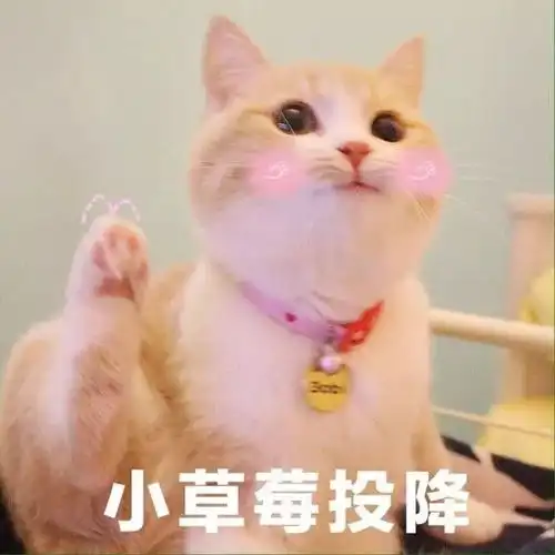 幽默搞笑妹子对我微微一笑,我跟你没关系的