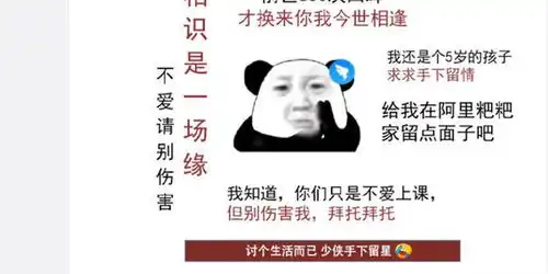 钉钉官方在线回复一星差评网络一线牵珍惜这段缘