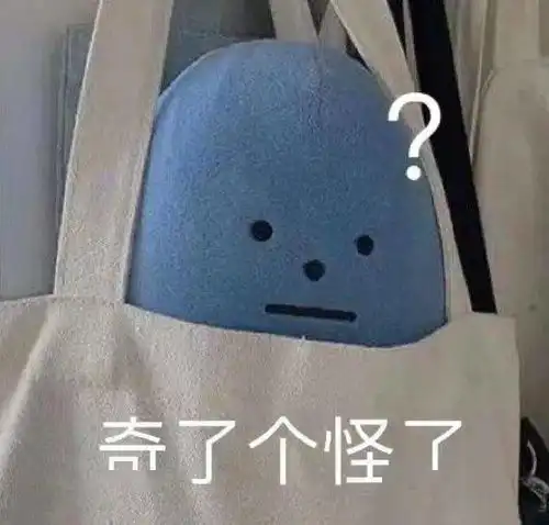 丁真上节目素颜截图流出...网友哈哈哈哈这张脸太绝了