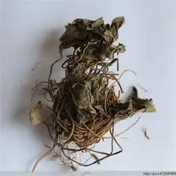 杜衡中药材杜衡别名马蹄香南细辛马辛祛风散寒,止痛