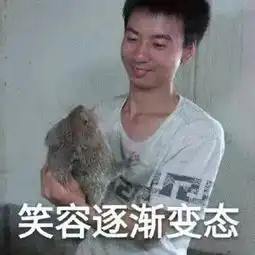 从凤姐到小吴,网络是怎么创造网红的