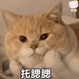 表情包奥特曼鬼畜表情包