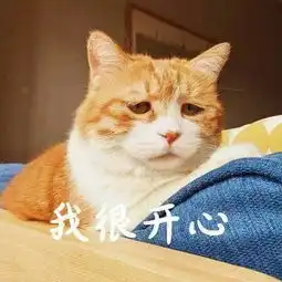 问完中美台兽医训练师,我对于猫狗挑食有了新的认识