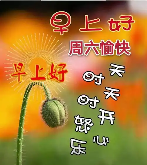 10月31日周六清晨早上好问候祝福动态表情图片10月最新早安问候祝福图片带字温馨
