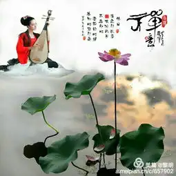 禅意莲花