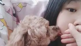 表面睡前日常,实则在危险边缘疯狂试探