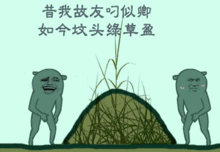 咋了,清明节坟让人刨了