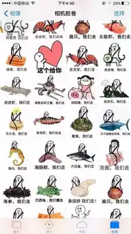 爆红的皮皮虾,我们走到底是什么鬼