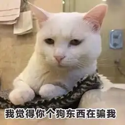 斗图必备治愈系可爱又沙雕斗图表情包,快拿去萌翻你的队友