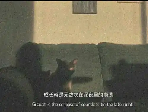 文案丨丧到极致的句子