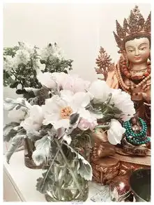 组图陈坤雅致豪宅内景曝光满布鲜花与佛像