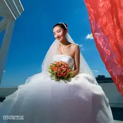 屋顶上的婚纱专辑fh770727