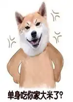 乐游网单机游戏