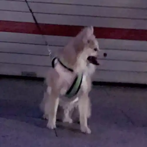 三个人的情侣头像