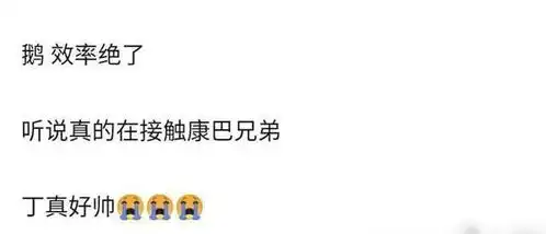炒作还是剧本网曝藏族小哥丁真参加选秀,网友反应严重两极化