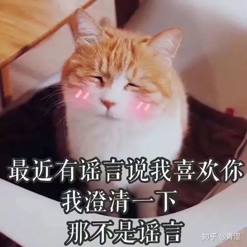 你有哪些有趣的表情包