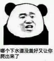 表情集哥们,听说你打算搞事情