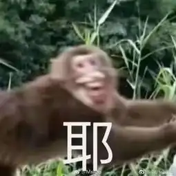 塑料同事情相亲角惊现员工替老板相亲,原因竟是